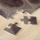 Search for fossil puzzles Stone