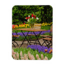 Search for tulips rectangular magnets Bouquet