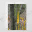 Recherche de agave vœux cartes Désert