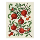 Recherche de grenades posters Fruits rouges