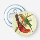 Recherche de perroquets ouvre bouteilles Oiseaux