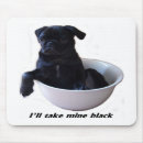 Search for black pug electronics Puggle