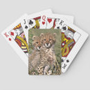 Search for baby cheetah toy games Nature