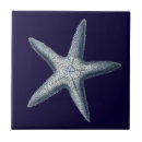 Recherche de shell carreaux Coquille marine