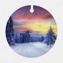 Search for scenery ornaments Snow
