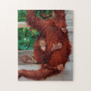 Search for orangutan puzzles Borneo