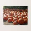 Recherche de harvest puzzles Citrouille
