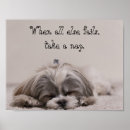 Search for shih tzu posters Pet