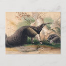 Recherche de anteaters posters Animaux