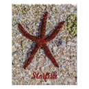 Search for underwater posters Souvenir