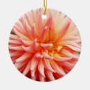 Search for dahlia flower ornaments Nature