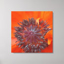 Search for orange poppy canvas prints Colourful