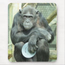 Search for chimpanzees mousepads Cute