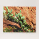 Search for zion national park puzzles Southwest
