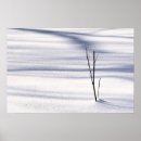 Search for twig posters Snow