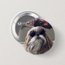 Search for haired buttons Silly