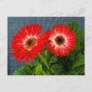 Recherche de gerbera rouge posters Jardin