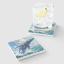 Search for mammal coasters Ocean