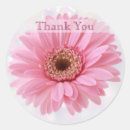 Search for gerbera daisy stickers Blue