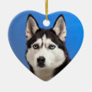 Search for dog sled ornaments Pet
