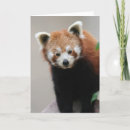 Recherche de fureur vœux cartes Rouge