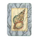 Recherche de coquillage magnets Coquille