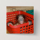 Recherche de amoureux des animaux badges Faune