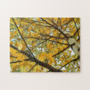 Recherche de bouleau puzzles Nature