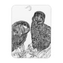Search for having fun magnets Nature