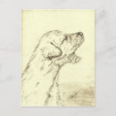 Search for wolfhounds postcards Vintage