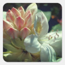 Search for azaleas stickers Flower