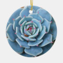 Search for succulent ornaments Green