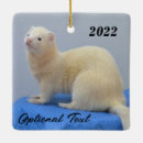 Search for pet ferret ornaments Animal