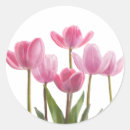 Search for tulips stickers Birthday