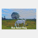 Search for wild ponies stickers For kids