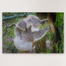 Search for koala puzzles Nature
