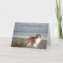 Search for sheltie cards Sheepdog