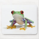 Search for digitally enhanced electronics Animal