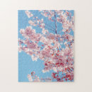 Search for japanese cherry blossom puzzles Beautiful