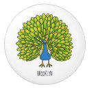 Search for peacock knobs and pulls Bird
