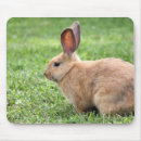 Search for bunny mousepads Easter