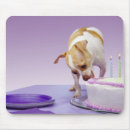 Search for eat cake electronics Eating