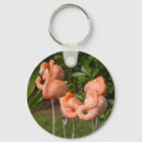 Search for sanctuary keychains Bird