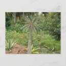 Search for madagascar postcards Green