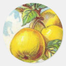 Search for orchard fruit stickers Green