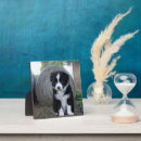 Search for collie plaques Puppy