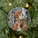 Search for carousel ornaments White