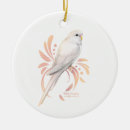 Search for parakeet ornaments Bird