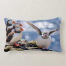 Search for puffin pillows Birds