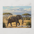 Search for amboseli postcards Kenya